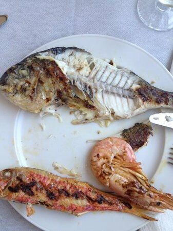 Ristorante La Conchiglia