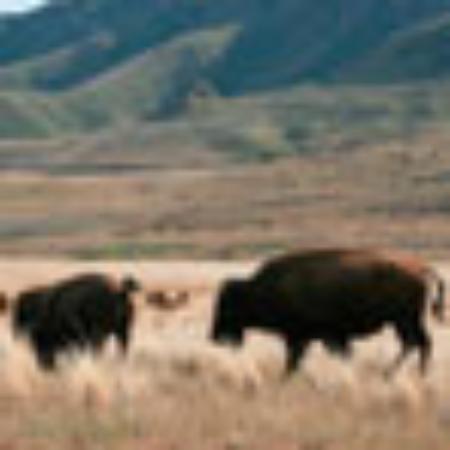 Bar Pizzeria Chantal