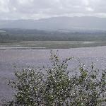 Pizzeria Il Barilotto