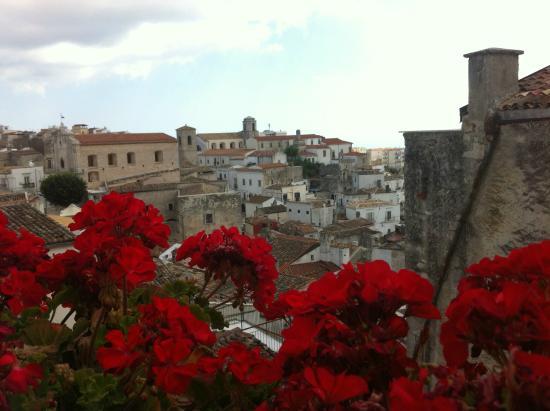 Cantine Cippone Winebar