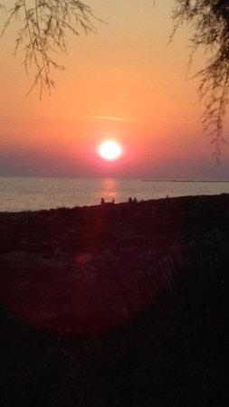 Pizzeria Il Mirto Forno A Legna