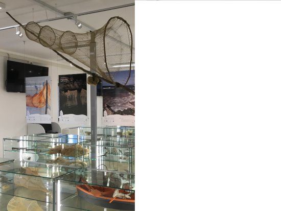 Museo del Territorio e della Cultura Lagunare