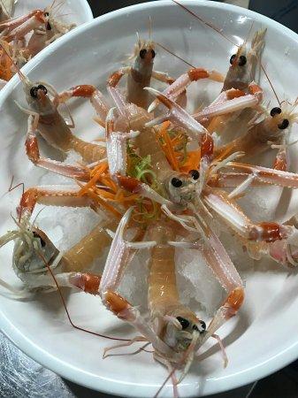 La Finestra sul Cielo