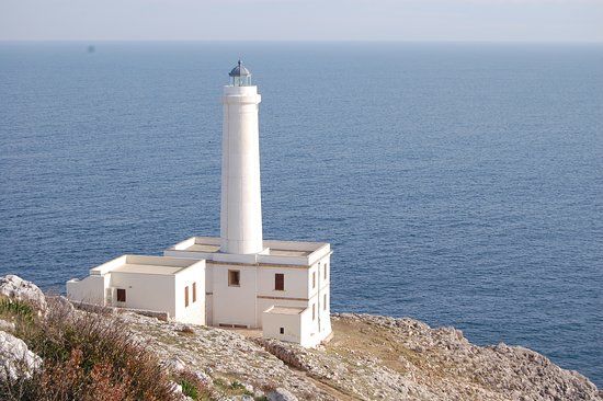 Museo di Ecologia degli Ecosistemi Mediterranei