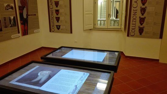 Museo del Libro