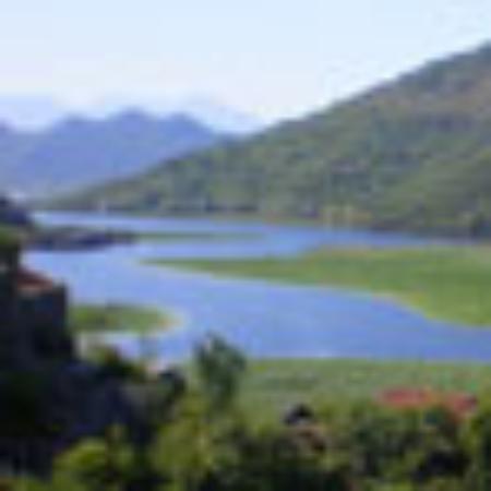 Pasticceria Simon Di Virgilio Francesco