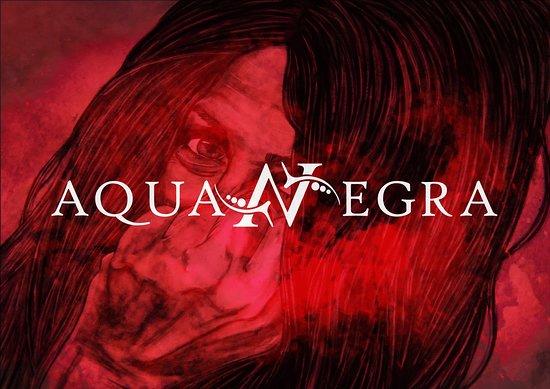 Aquanegra Paravineria