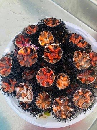 La Locanda Del Riccio