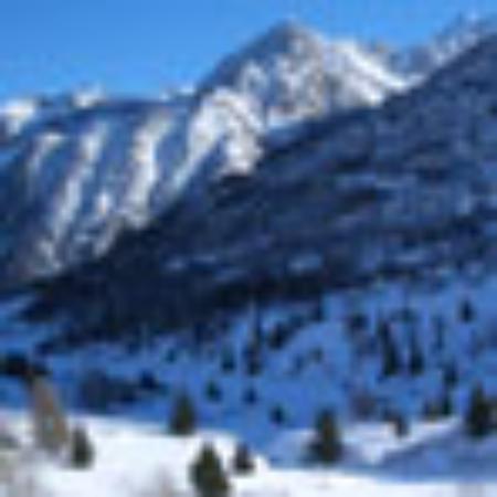 Gelateria La Dolce Vita