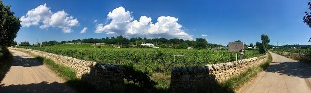 Tenuta Santoro Wine Bar