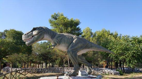 Museo Paleontologico e Parco dei Dinosauri