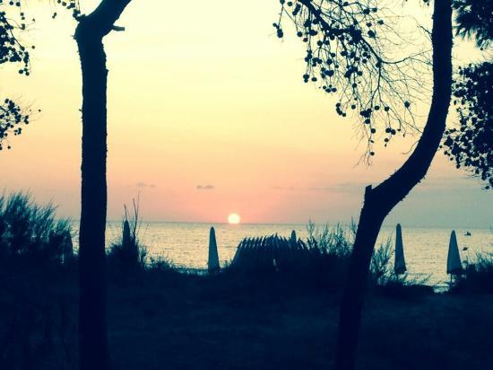 Avana Bar Paninoteca