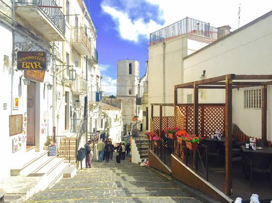 Drengot's Beerwinefood