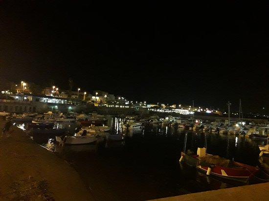 Gelateria Fiordilatte