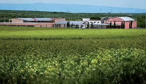 Azienda Vinicola Rivera S.p.A