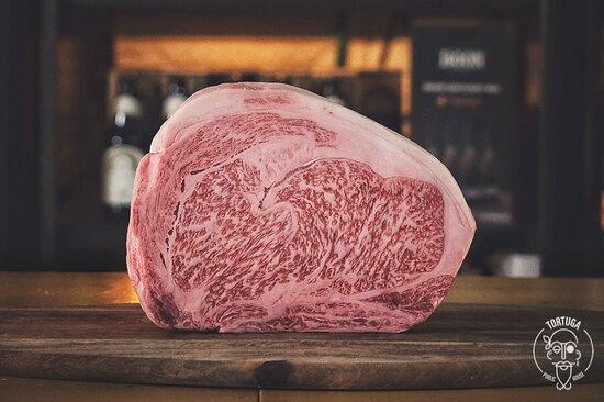 Tortuga Public House