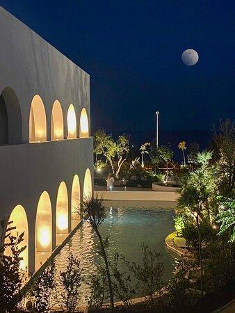 Medi - Apulian Sea Experience