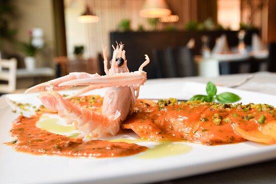 Moi Moi - Sapori di Fine Terra