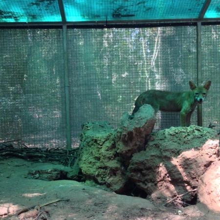 Museo di Storia Naturale del Salento