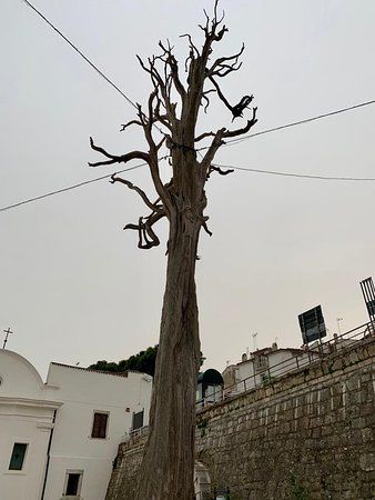 Convento di San Francesco