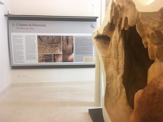 Museo dell'Uomo di Altamura