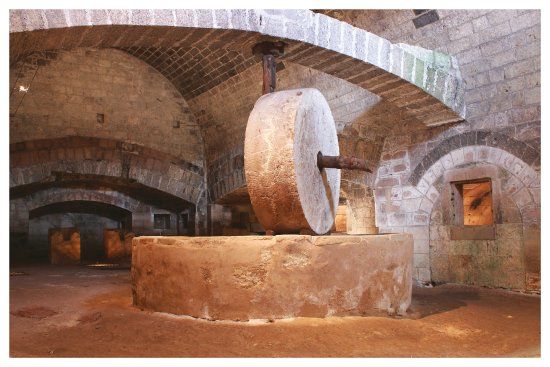 Museo Diffuso di Borgo Terra