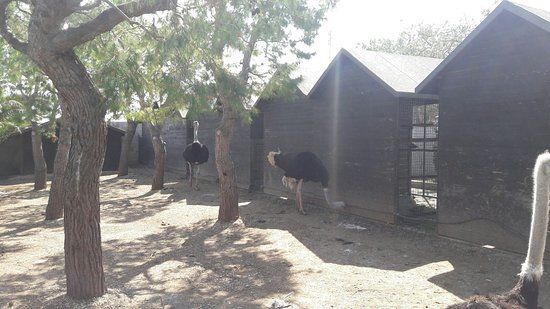 Il Giardino Floro-faunistico