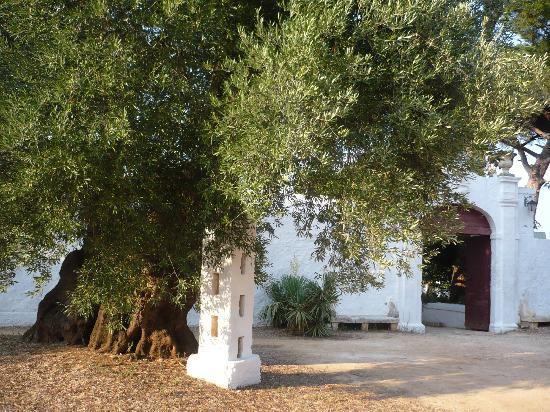 Masseria Brancati
