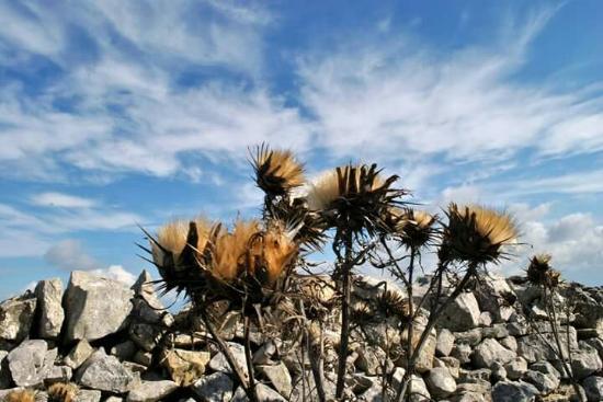Parco Nazionale dell'Alta Murgia