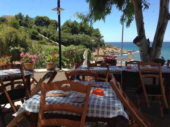 Bar Del Moro Ristorante