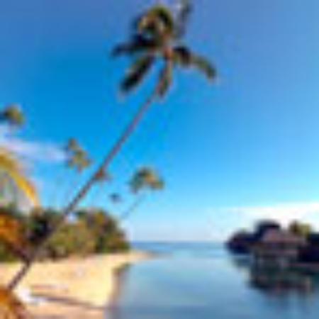 Pizzeria Mimmo's Di Fiorentino Michele