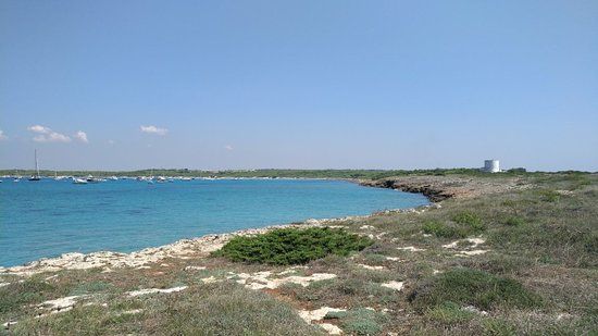 Parco Naturale Regionale Isola di Sant'Andrea e Litorale di Punta Pizzo