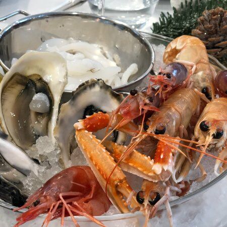 Toruccio Terrazza Adriatica